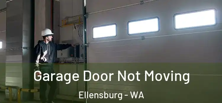  Garage Door Not Moving Ellensburg - WA