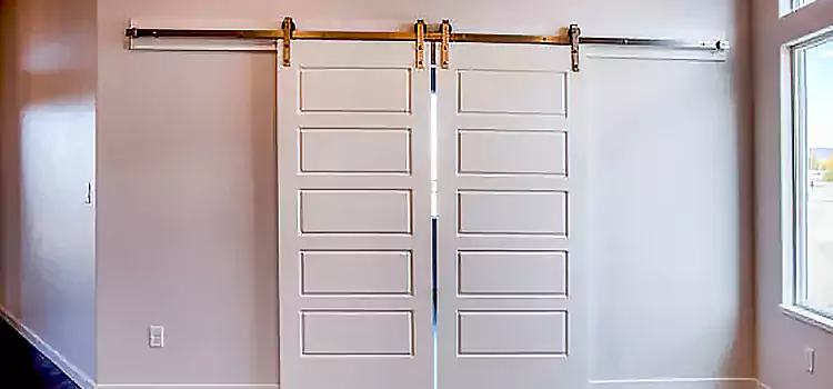 Glass Barn Door with Installation Hardware Kit Ellensburg