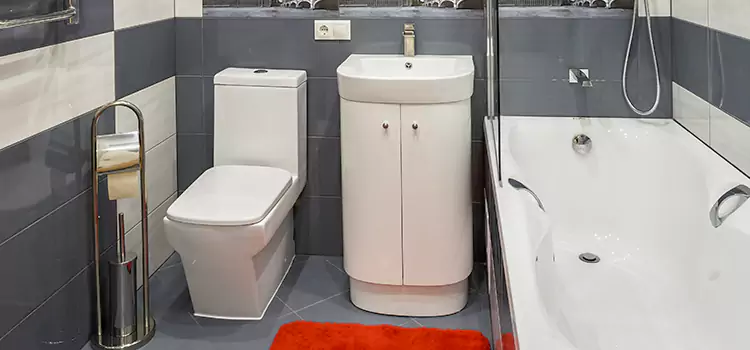 Hansgrohe Shaving Mirror Ellensburg